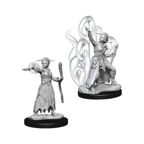 D&D Miniatures Female Human Warlock