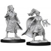 D&D Miniatures Femal Human Sorcerer