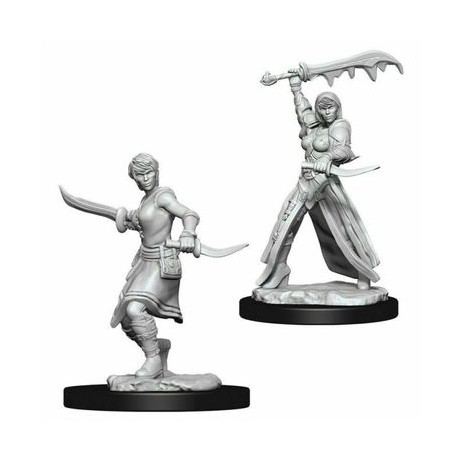 D&D Miniatures Female Human Rogue