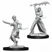 D&D Miniatures Female Human Rogue