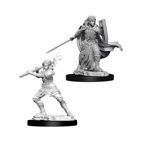 D&D Miniatures Female Human Paladin