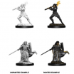 D&D Miniatures Female Human Paladin