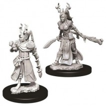 D&D Miniatures Female Human Druid