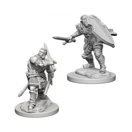 D&D Nolzur's Marvelous Miniatures Male Human Paladin