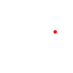 Balltrix Cuir