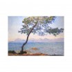 Puzzle bois 80 p Cap d'Antibes