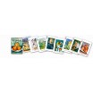 Jeu 55 cartes Cezanne