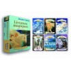 Licornes Magiques - Coffret 44 cartes Oracle