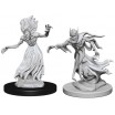 D&D Miniatures Wraith & Specter