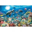 Puzzle 5000p Monde Marin Ravensburger