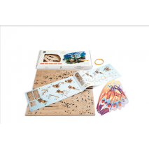 Papillon