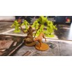 Zombicide black plague : Friends and foes