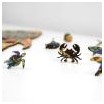 Puzzle Bois Poisson Bavard
