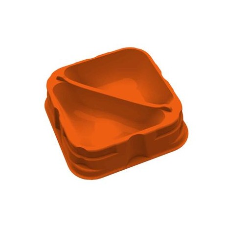 X-Trayz Orange