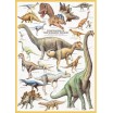 Puzzle 1000 p Dinosaures Periode Jurassique Eurogra