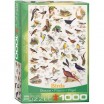 Puzzle 1000 p Oiseaux Eurographics