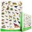 Puzzle 1000 p Oiseaux Eurographics