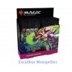 Modern Horizons 2 Collector Booster FR