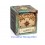 Davy Jones Locker Cluebox