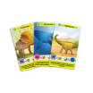 Défis Nature Junior Au Temps des Dinosaures