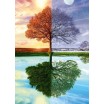 Puzzle 500p Arbre des 4 saisons