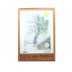 Puzzle 1080p 4 Saisons Fourmis Akena