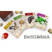 Encyclopedia