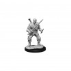 D&d Miniatures Human Bard Male