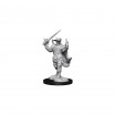 D&d Miniatures Human Bard Male