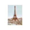 Puzzle Bois la Tour Eiffel 80pcs