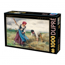 Puzzle 1000p Julien Dupre D toys