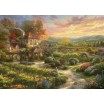 Puzzle 2000p dans les Vignes