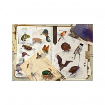 Puzzles 1000p Biotopes Zones Humides