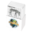 Fauna