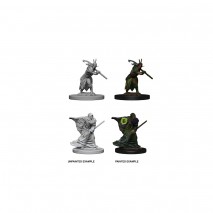 Elf Male Druid D&D Miniatures