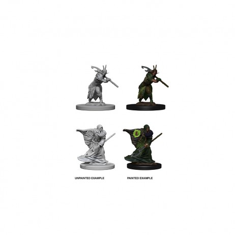Elf Male Druid D&D Miniatures