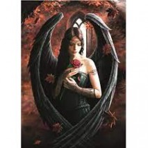 Puzzle 1000p Angel Rose