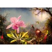 Puzzle 1000p Cattleya Orchid and Three