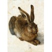 Puzzle 1000 p Dürer Le Lapin