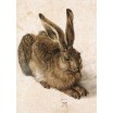Puzzle 500 p Le Lapin Dürer