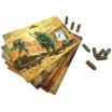 Bang ! The Dynamite Box