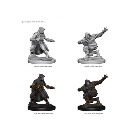 D&d Human Male