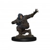 D&d Human Male
