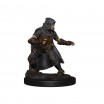 D&d Human Male