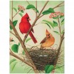 Puzzle 500pcs Nothern Cardinals