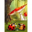 Puzzle 300p Ruyer - Poker des Coccinelles