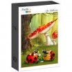 Puzzle 204p Ruyer Poker des Coccinelles