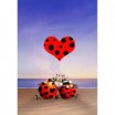 Puzzle 204p Ruyer Love