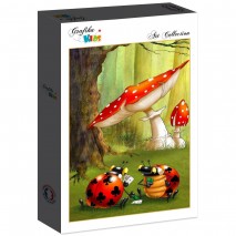 Puzzle 12p Ruyer Poker des Coccinelles