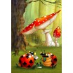 Puzzle 12p Ruyer Poker des Coccinelles